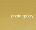 photo gallery